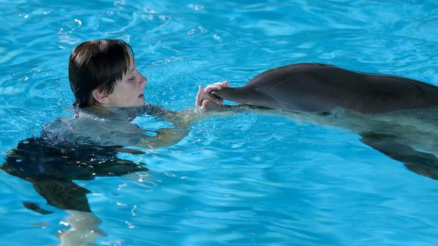 รีวิว Dolphin Tale (2011) มหัศจรรย์โลมาหัวใจนักสู้