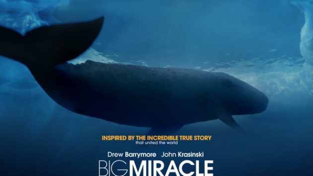 รีวิว Big Miracle (2012) ปาฏิหาริย์วาฬสีเทา