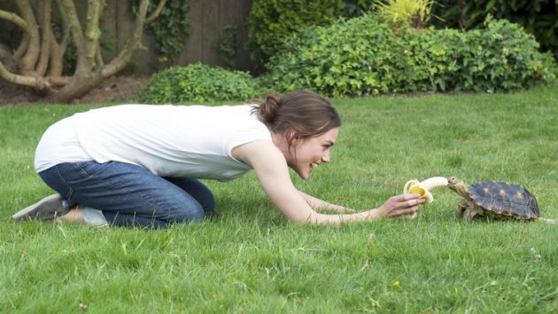 รีวิว Laggies (2014) รักเราอย่าเต่าเลย