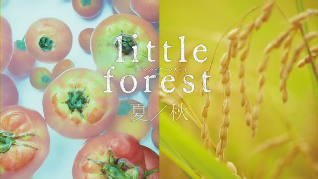 รีวิว Little Forest: Summer/Autumn (2014)