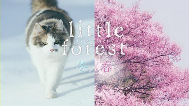 รีวิว Little Forest: Winter/Spring (2015)
