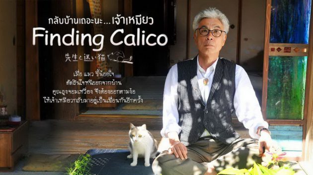 รีวิว Finding Calico (2015) กลับบ้านเถอะนะ… เจ้าเหมียว