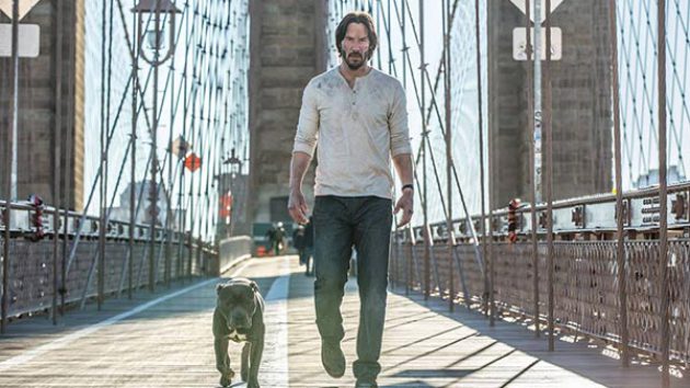 เปิดตัวหมาตัวใหม่คู่ใจ John Wick 2