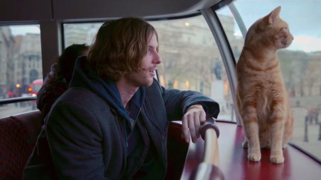 รีัวิว A Street Cat Named Bob (2016) บ็อบ แมว เพื่อน คน